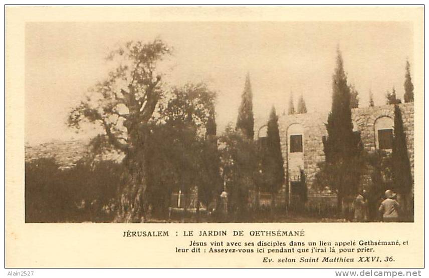 JERUSALEM - Le Jardin De Gethsémané - Israel