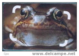 # NETHERLANDS CG16-1 Kijk & Bewonder 10 So6 01.98 -frog,grenouille- Tres Bon Etat - Publiques