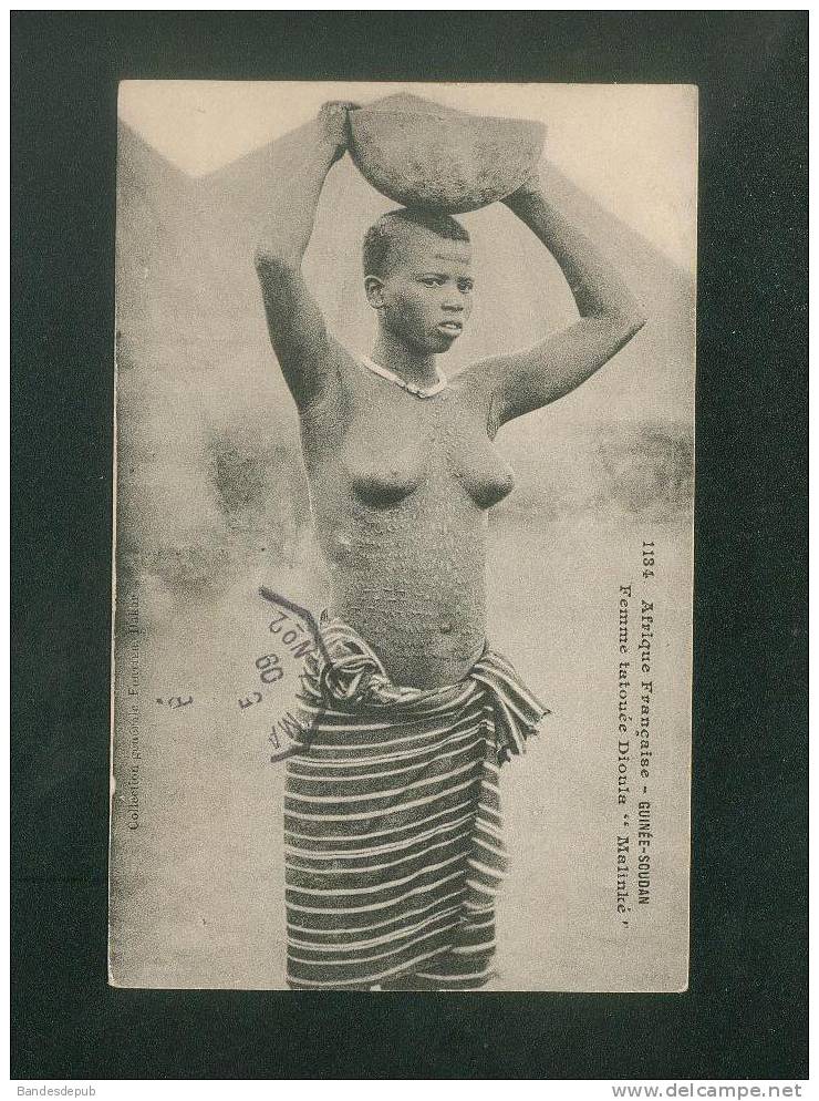 Afrique Occidentale Guinée Soudan - Femme Tatouée Dioula Malinké (scarification Nue Nu Africain Collection Fortier 1134) - Guinée
