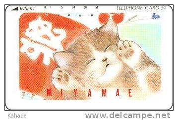 Japan Phonecard   Süße Katze Cat - Katten
