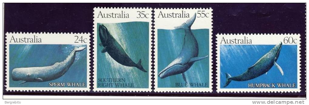 1982 Australia Complete Set Of 4 Whales MNH Scott # 821-824 - Mint Stamps