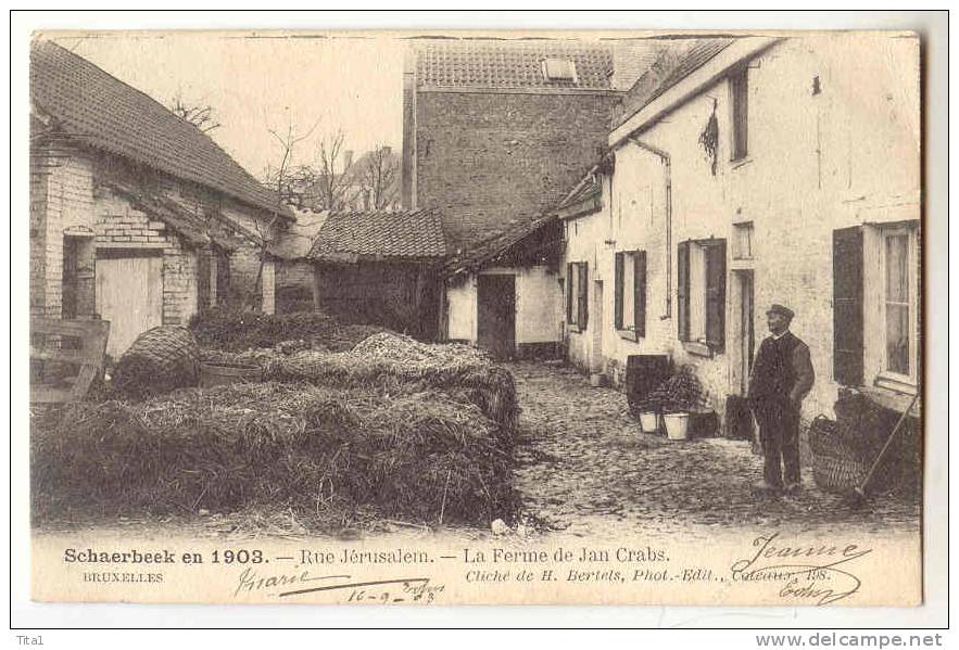 C8865 - SCHAERBEEK EN 1903 - Rue Jérusalem - La Ferme De Jan Crabs - Schaerbeek - Schaarbeek