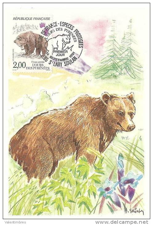 France Carte Maximum 14/9/91 Ours Des Pyrénées ,oso, Bear , Bar, - Ours