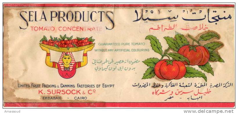 Egypt Vintage SELA Tomato Advertisement Packing Canning - Fruits & Vegetables