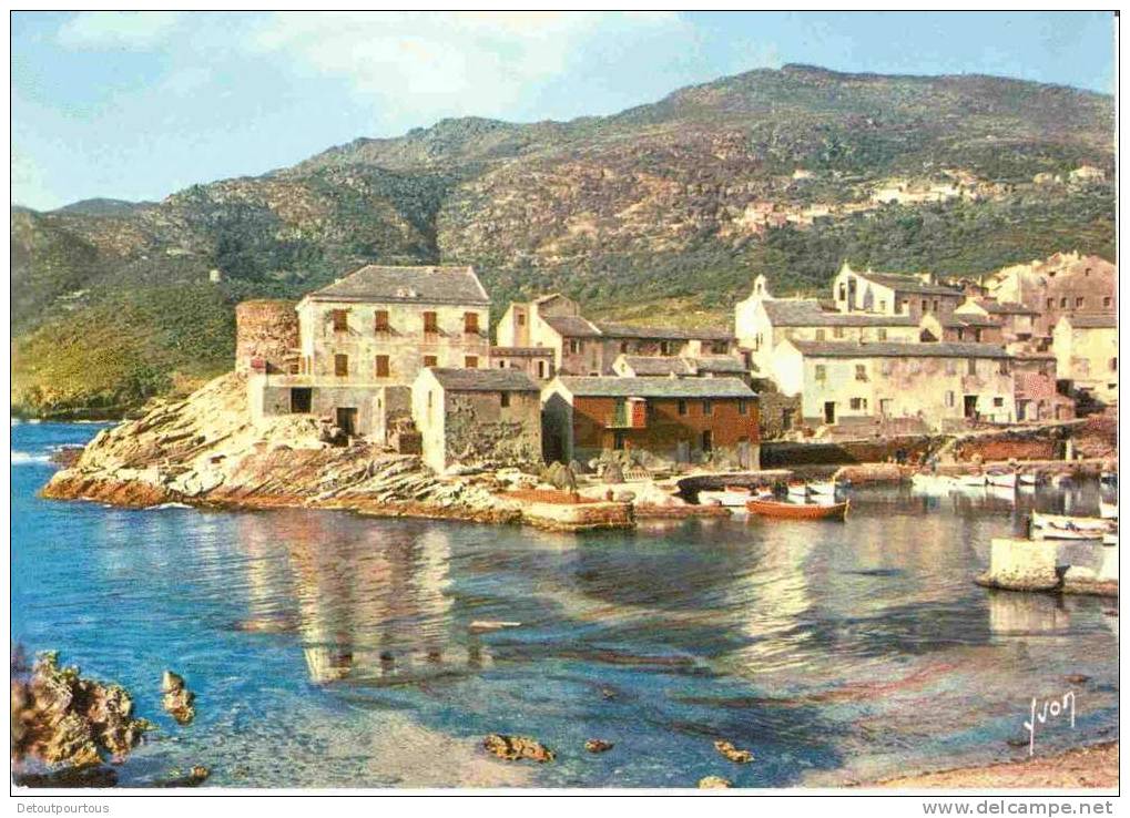 CENTURI  Corse : Marine De CENTURI Cap Corse Port - Autres & Non Classés