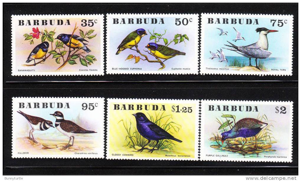 Barbuda 1976 Birds MNH - Barbuda (...-1981)