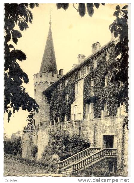 FLORENNES- LE CHATEAU VU DE L´ALLEE DES MARRONNIERS - Florennes