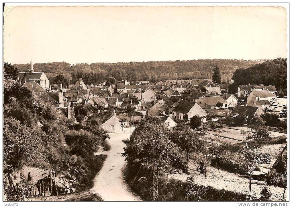 Cpsm, Reugny (I.-et-L.), Vue Générale Aérienne - Reugny