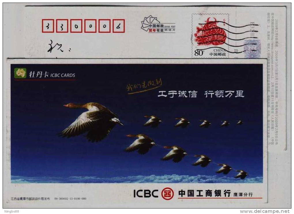 Swan Goose Bird,China 2009 ICBC Bank Cards Advertising Pre-stamped Card - Gänsevögel