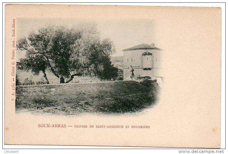 Carte Postale Ancienne Souk Ahras - Olivier De Saint Augustin Et Poudrière - Arbres - Souk Ahras