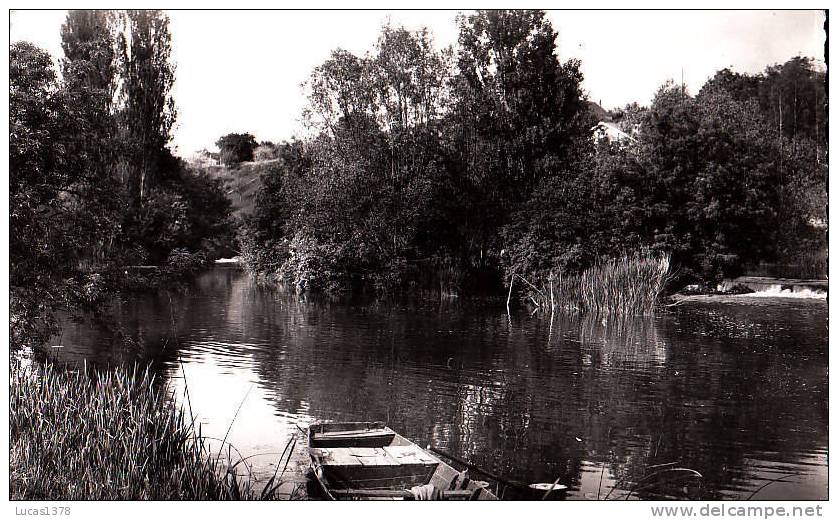 49 / SEICHES / LES  BORDS DU LOIR A MATHEFLON - Seiches Sur Le Loir