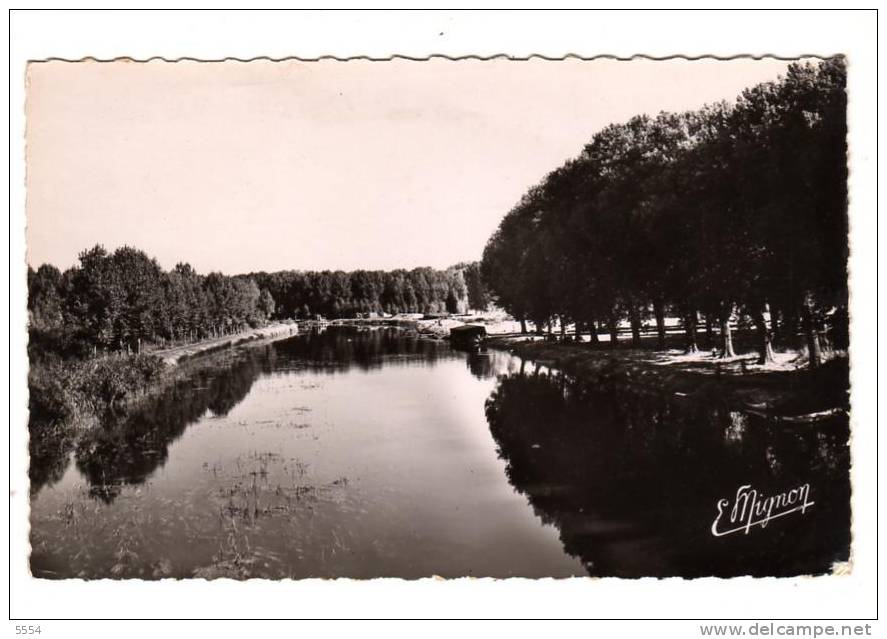 Cpsm 77 SEINE ET MARNE Bray Sur Seine  Les Bords De La Seine - Bray Sur Seine