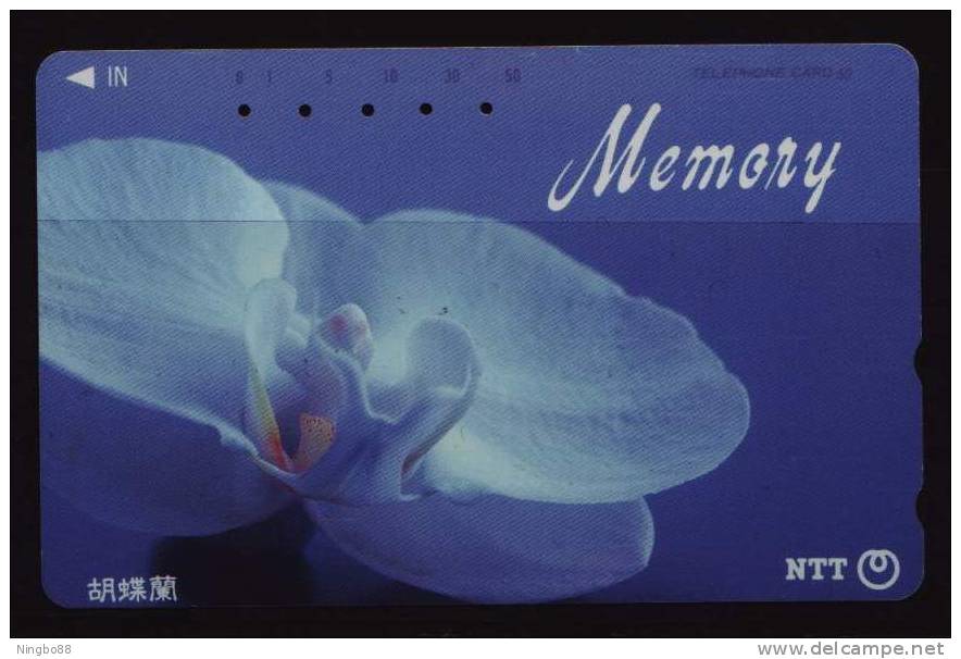 White Phaelenopsis Moth Orchid,Japan 1991 NTT Phonecard Used - Flores