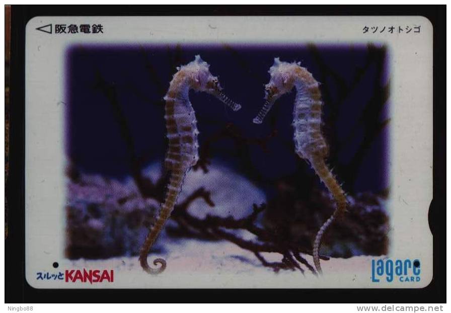 Marine Life Hippocampus Japonicum Kaup,Japan Kansai Railway Ticket Trading Card Used - Sonstige & Ohne Zuordnung