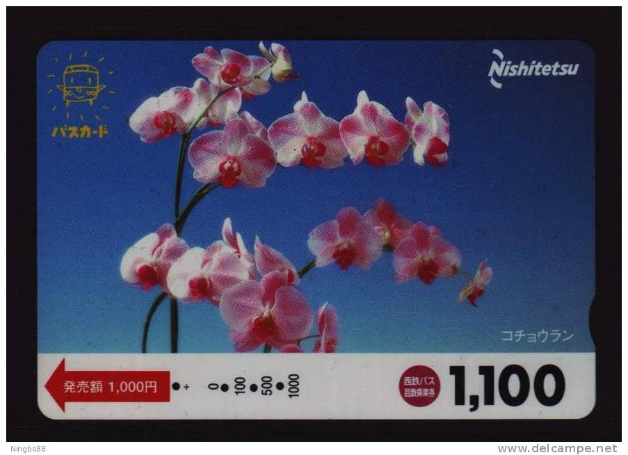 Phaelenopsis Moth Orchid,Japan Nishitetsu Railway Ticket Trading Card Used - Sonstige & Ohne Zuordnung