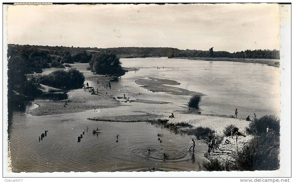 Chatillon-sur-Loire : La Plage En 1957 (animée). - Chatillon Sur Loire