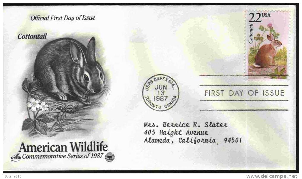 Fdc Usa 1987 Lapin Lièvre Cottontail - Hasen