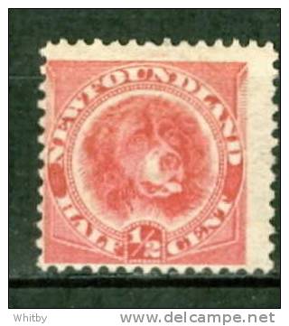 1888 Newfoundland 1/2 Cent Newfoundland Dog #56 Mint Very Light Hinged - 1865-1902