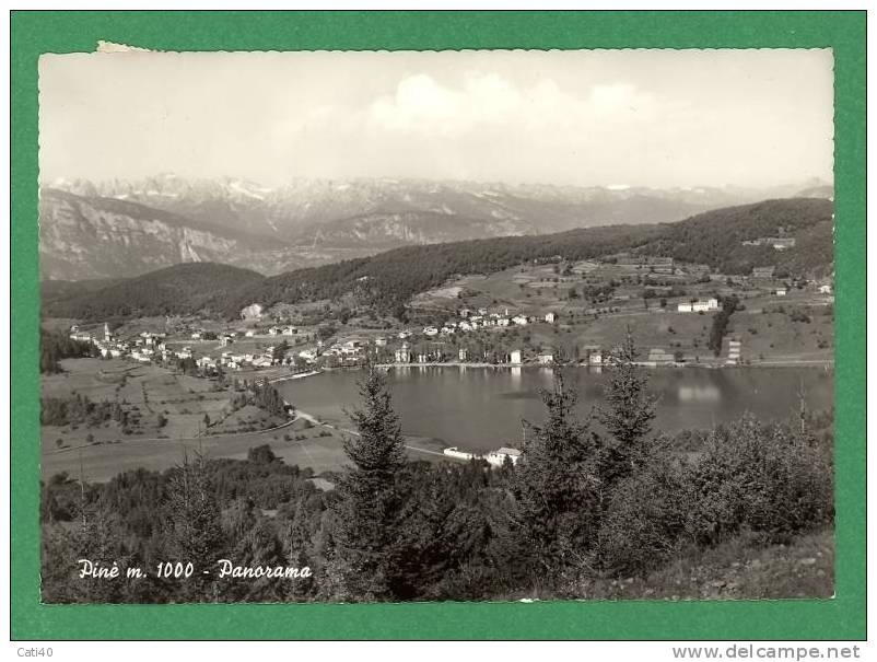 CARTOLINA DI PINE  PANORAMA - Trento