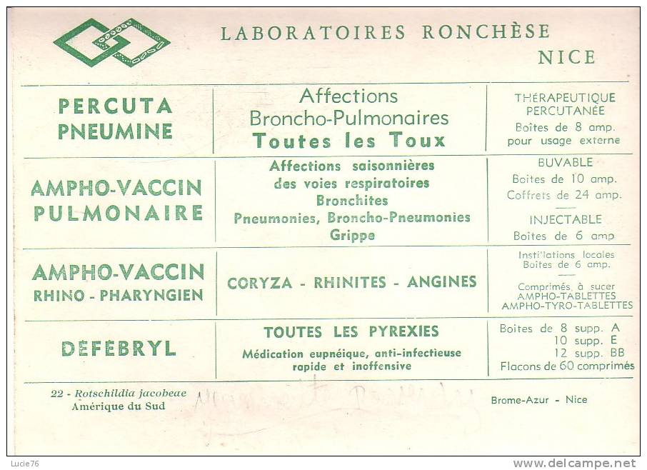 ROTSCHILDIA JACOBEAE  -   - Amérique Du Sud  -  N°  22 - Papillons