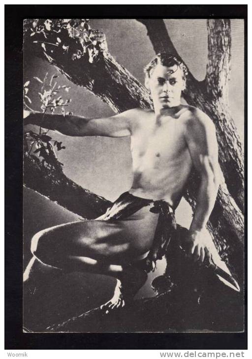 Johnny Weissmuller ~ Tarzan ~ B&W Modern Postcard - Actors