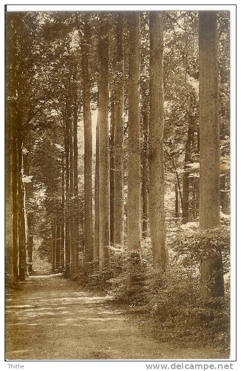 Kasteel Van GAESBEEK - Dreef Langs De Vijvers - Allée Le Long Des étangs - Lennik