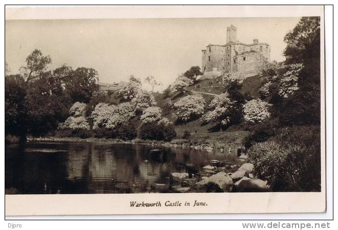 Warkworth Casle In June - Other & Unclassified