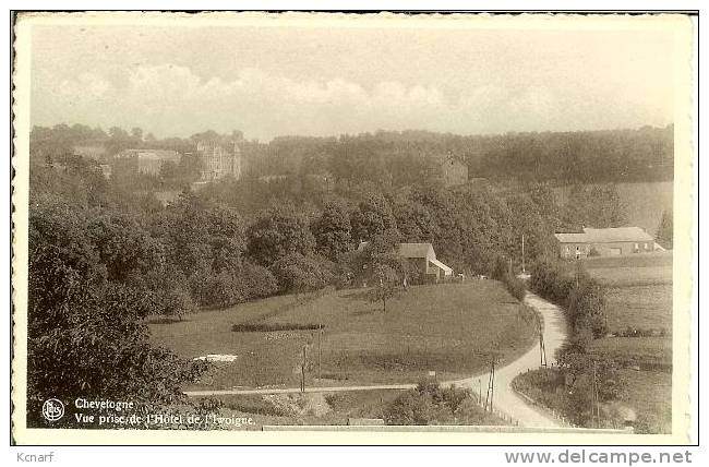 CP De CHEVETOGNE " Vue Prise De L'hôtel De L'iwoigne " Avec Cachet Relais De CHEVETOGNE . - Ciney