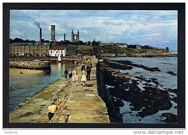 Postcard St Andrews From The Harbour Fife Scotland -  Ref 360 - Fife