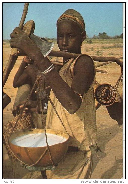 NIGER Berger Peuhl De Talcho Cp Couleur Animée - Niger