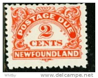 1939 Newfoundland 2 Cent Postage Due #J2 MLH - Fine Di Catalogo (Back Of Book)