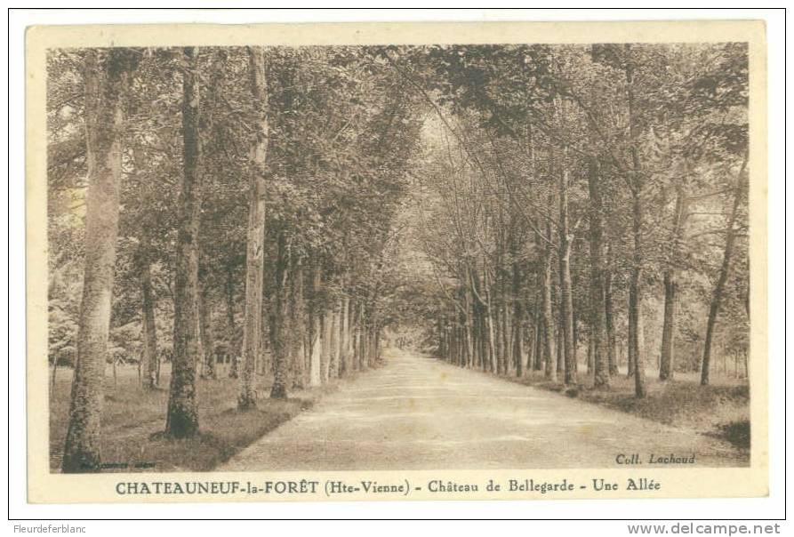 CHATEAUNEUF-LA-FORET (87) -Château De Bellegarde - Une Allée - Chateauneuf La Foret