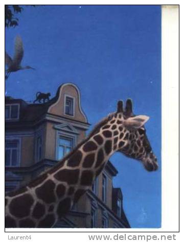 Giraffe Postcard -  Carte Postale De Giraffe - Giraffes