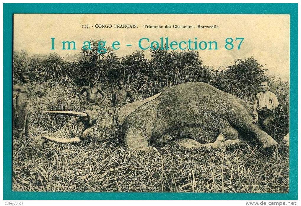 AFRIQUE - CONGO BELGE - CHASSE à L´ELEPHANT - CHASSEUR - IVOIRE - Congo Français