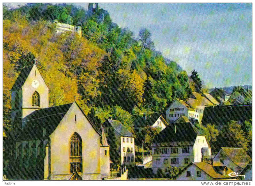 Carte Postale 68. Ferrette   Trés  Beau Plan - Ferrette