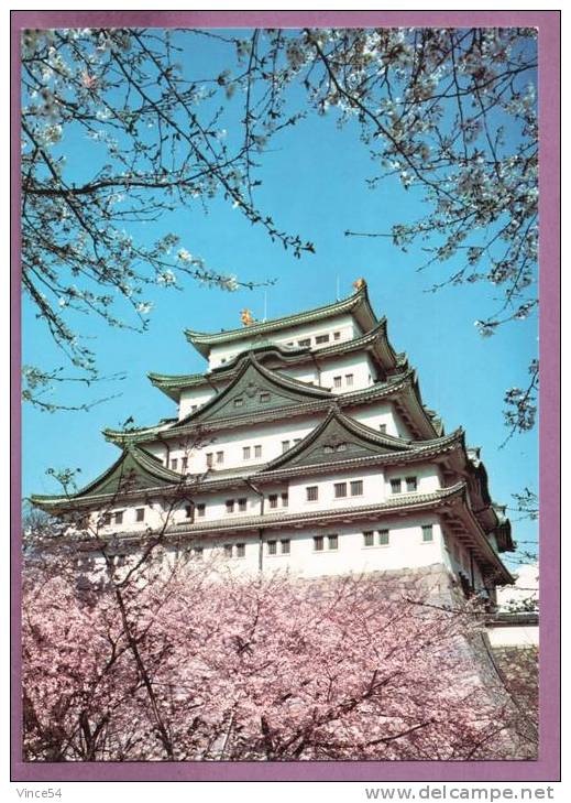 NAGOYA - Main Castle Building Embosomed With Cherry Trees In Full Bloom - Nagoya