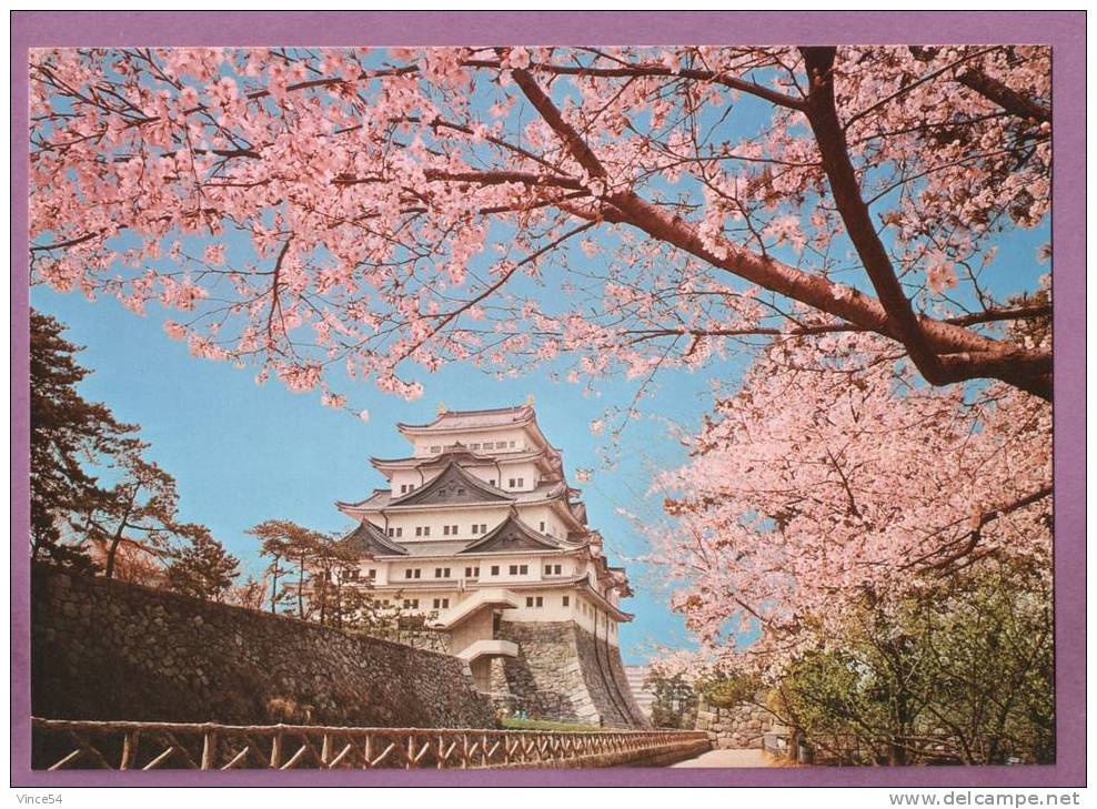NAGOYA - Main Castle Building Embosomed With Cherry Trees In Full Bloom N° 2 - Nagoya