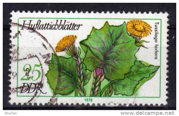 Abart Arzneipflanze Mit Fehlender Rahmenecke 1978 DDR 2290 I  O 250€ Plus Vergleichsstück Error On The Stamp Of Germany - Errors & Oddities