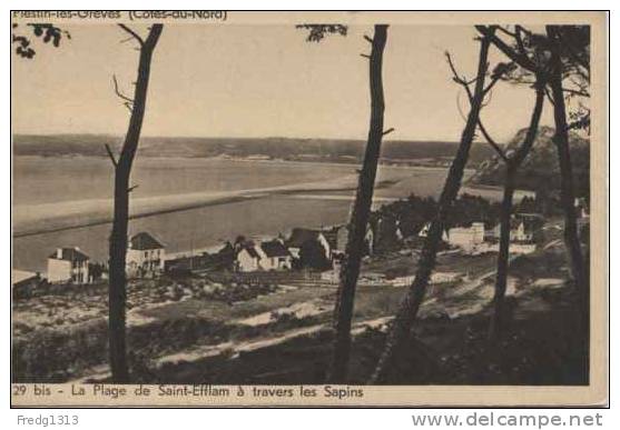 Plestin Les Greves - Plage De Saint Efflam A Travers Les Sapins - Plestin-les-Greves