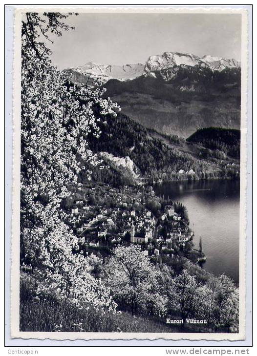 Q2 - SUISSE - VITZNAU Am VIERWALDSTÄTTERSEE Mit Den Nidwaldneralpen - Vitznau