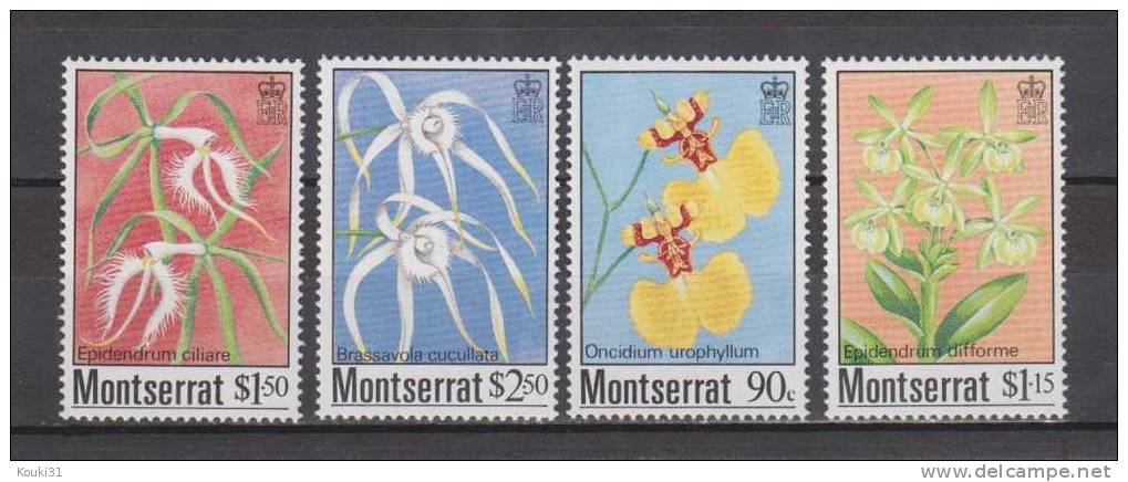 Montserrat YT 565/8 ** : Orchidées - Montserrat