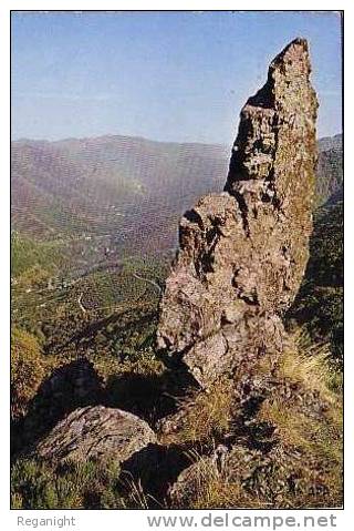 30 VALLERAUGUE !!! CPSM 4637 !! La Quille Dans Le Massif De L'Aigoual   TOP - Valleraugue