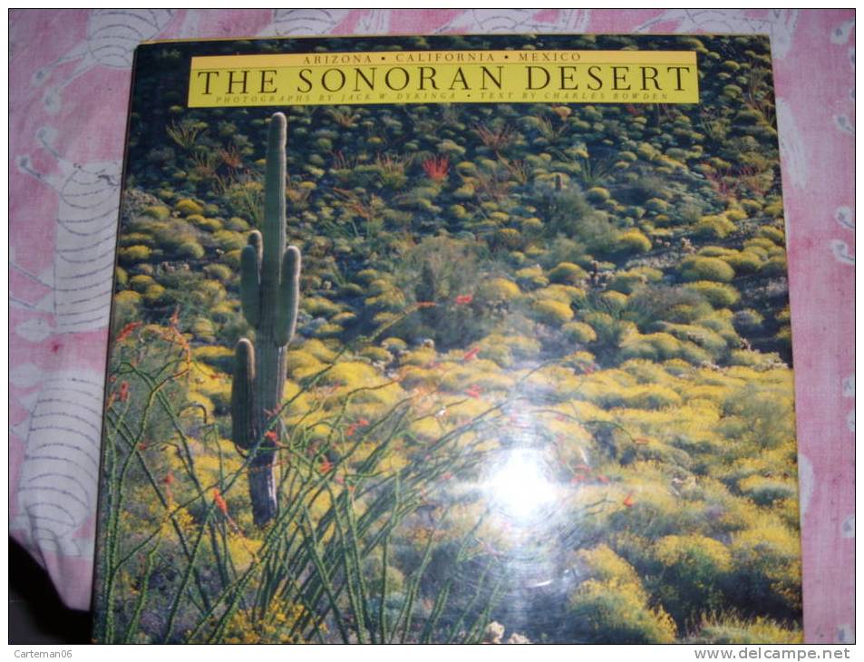 Livre - The Sonoran Desert (Arizona, California, Mexico) Photographs By Jack W. Dykinga - Text By Charles Bowden - Photography