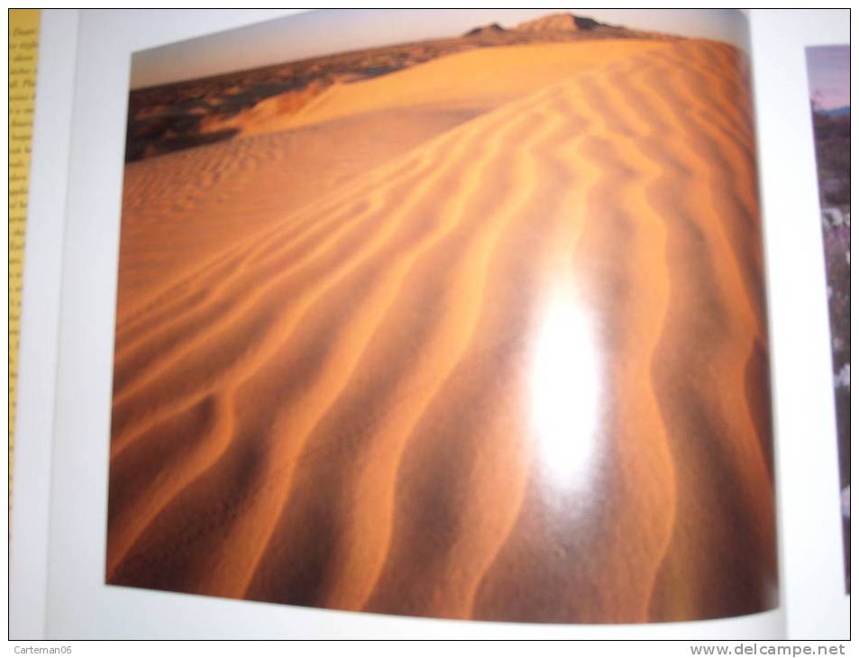 Livre - The Sonoran Desert (Arizona, California, Mexico) Photographs By Jack W. Dykinga - Text By Charles Bowden - Fotografie