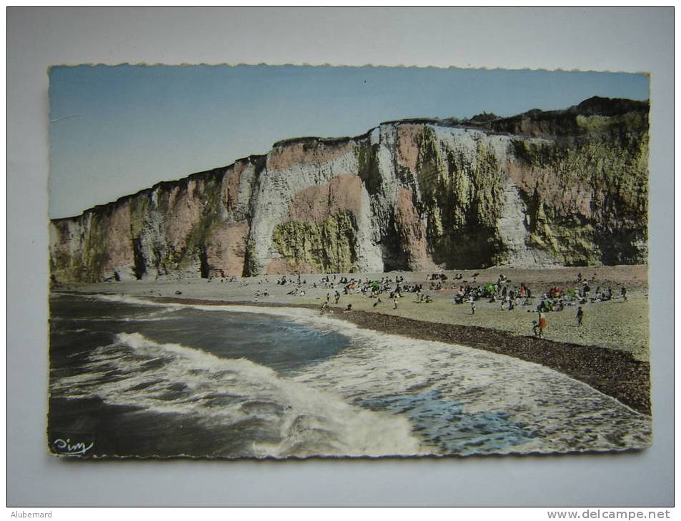 Veules Les Roses , La Plage . C.p.photo 14x9 - Veules Les Roses