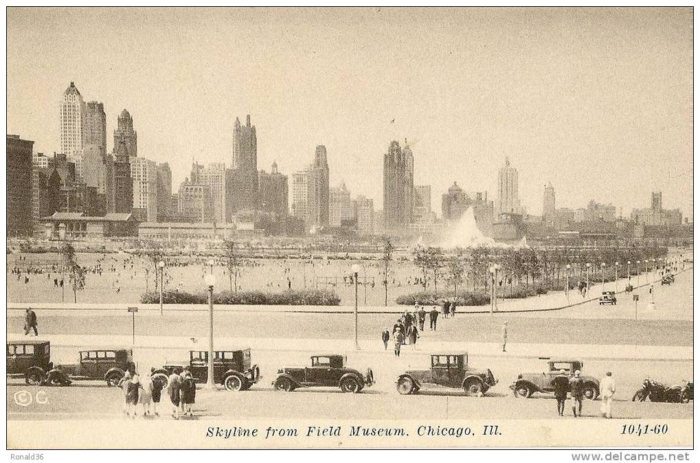 Cp U S A Illinois CHICAGO Skyline From Field Museum ( Voitures, Automobiles, Ford) - Chicago