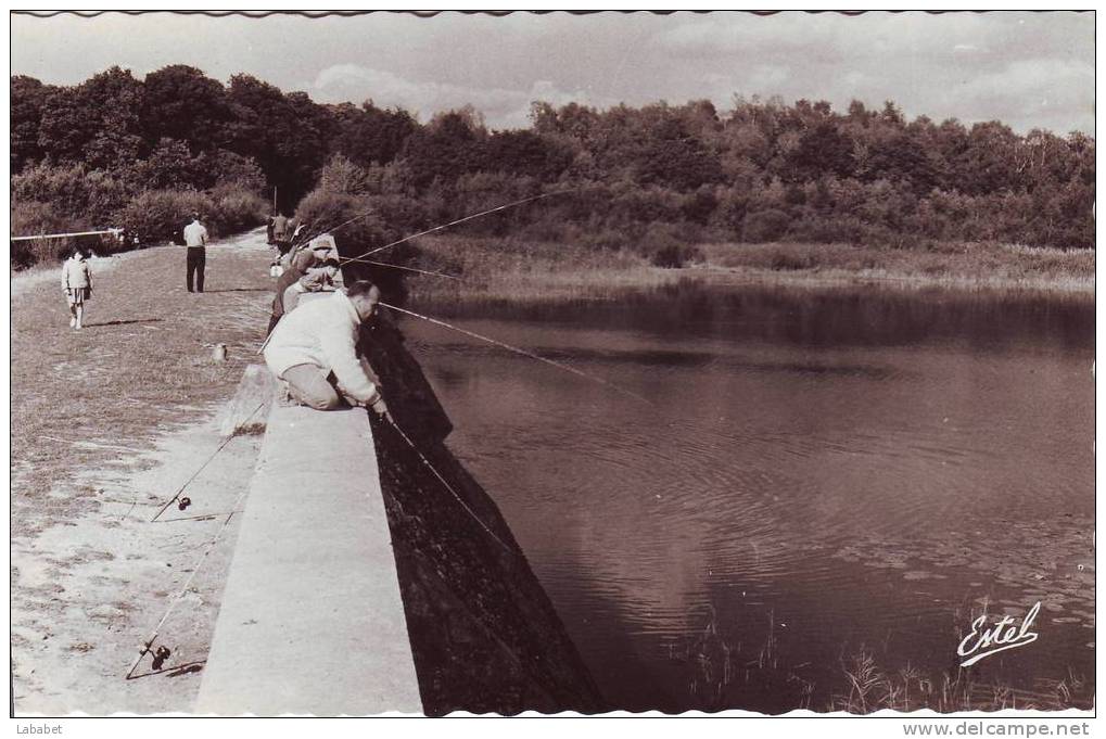 Le Perray En Yvelines   L'etang - Le Perray En Yvelines