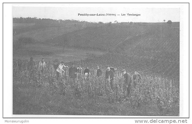 58 )) POUILLY SUR LOIRE, Les Vendanges, ANIMEE - Pouilly Sur Loire