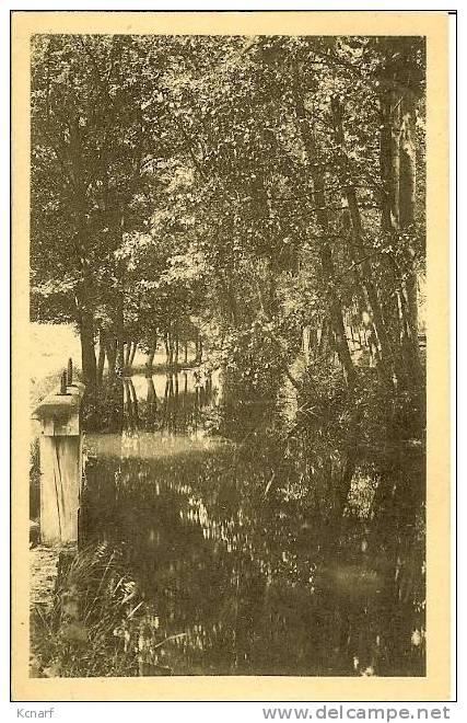 CP De NEUFCHATEAU " La Vierre Sous Bois " Avec Cachet Relais De LONGLIER . - Neufchâteau