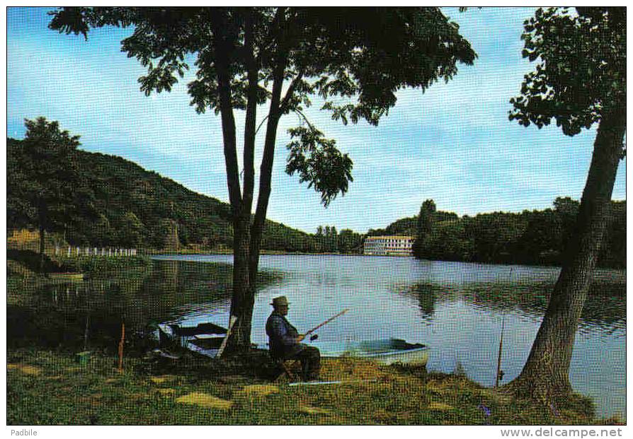 Carte Postale 85. Chantonnay  étang Du Moulin Neuf  Paradis Des Pêcheurs Trés Beau Plan - Chantonnay